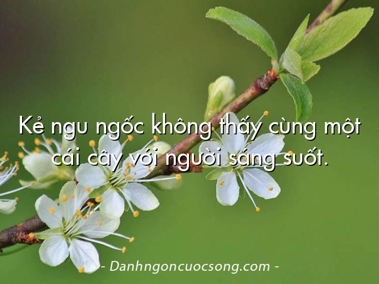 Kẻ ngu ngốc không thấy cùng một cái cây với người sáng suốt.