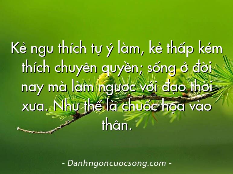 Kẻ ngu thích tự ý làm, kẻ thấp kém thích chuyên quyền; sống ở đời nay mà làm ngược với đạo thời xưa. Như thế là chuốc họa vào thân.