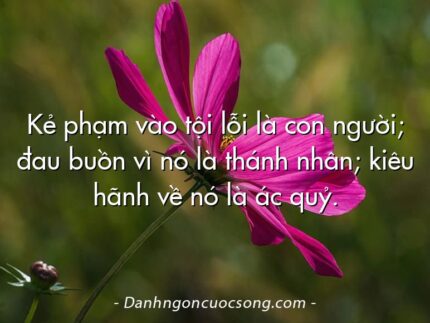 Kẻ phạm vào tội lỗi là con người; đau buồn vì nó là thánh nhân; kiêu hãnh về nó là ác quỷ.