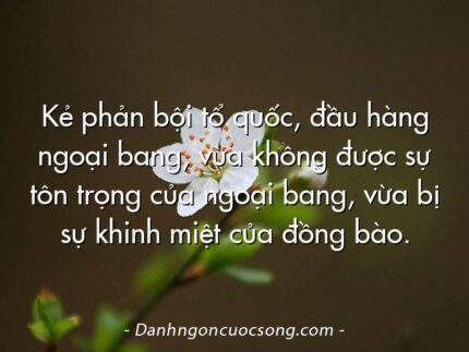 Kẻ phản bội tổ quốc, đầu hàng ngoại bang, vừa không được sự tôn trọng của ngoại bang, vừa bị sự khinh miệt của đồng bào.