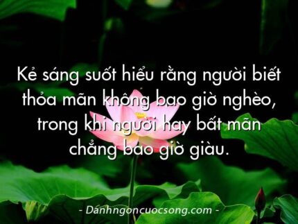 Kẻ sáng suốt hiểu rằng người biết thỏa mãn không bao giờ nghèo, trong khi người hay bất mãn chẳng bao giờ giàu.