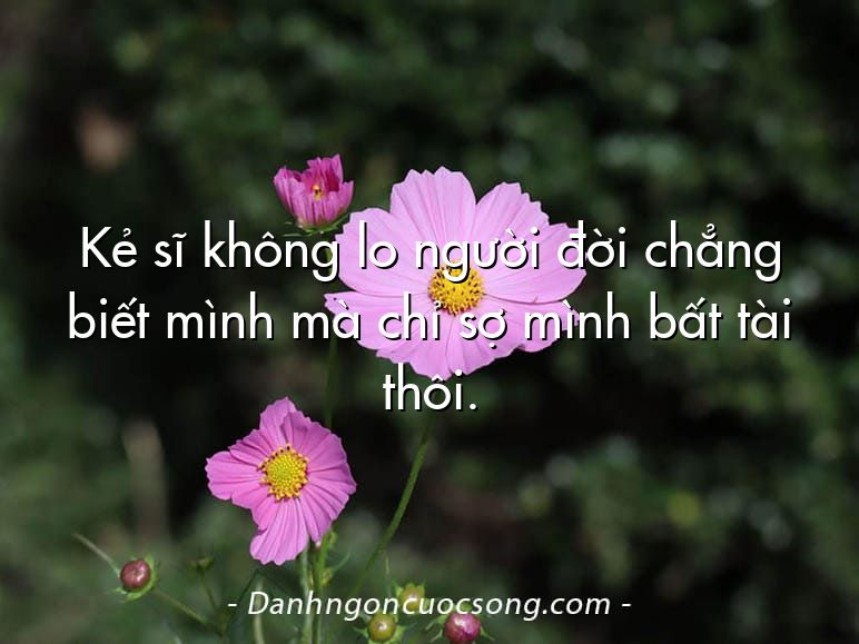 Kẻ sĩ không lo người đời chẳng biết mình mà chỉ sợ mình bất tài thôi.