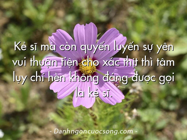 Kẻ sĩ mà còn quyến luyến sự yên vui thuận tiện cho xác thịt thì tâm lụy chí hèn không đáng được gọi là kẻ sĩ.