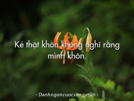 Kẻ thật khôn không nghĩ rằng mình khôn.