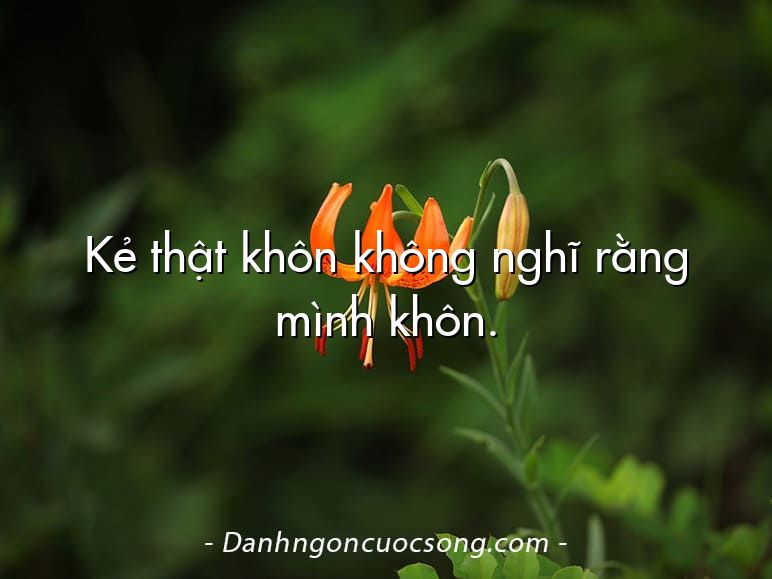 Kẻ thật khôn không nghĩ rằng mình khôn.