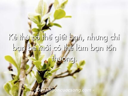 Kẻ thù có thể giết bạn, nhưng chỉ bạn bè mới có thể làm bạn tổn thương.