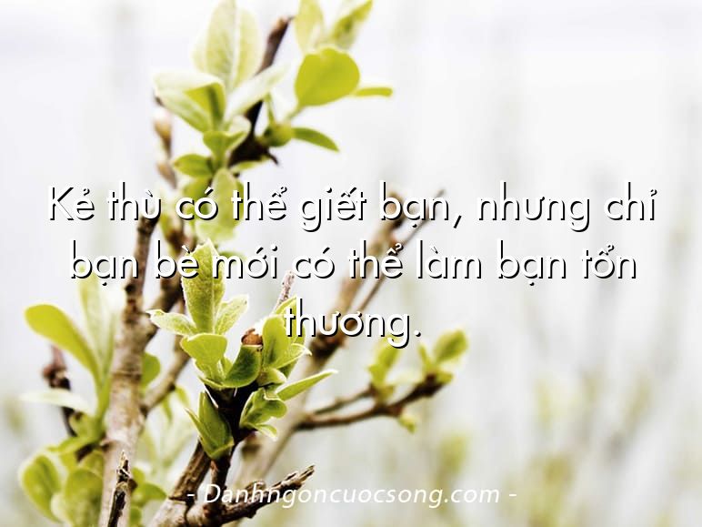 Kẻ thù có thể giết bạn, nhưng chỉ bạn bè mới có thể làm bạn tổn thương.