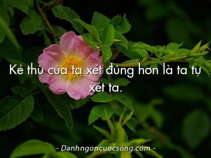 Kẻ thù của ta xét đúng hơn là ta tự xét ta.