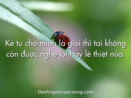 Kẻ tự cho mình là giỏi thì tai không còn được nghe lời hay lẽ thiệt nữa.