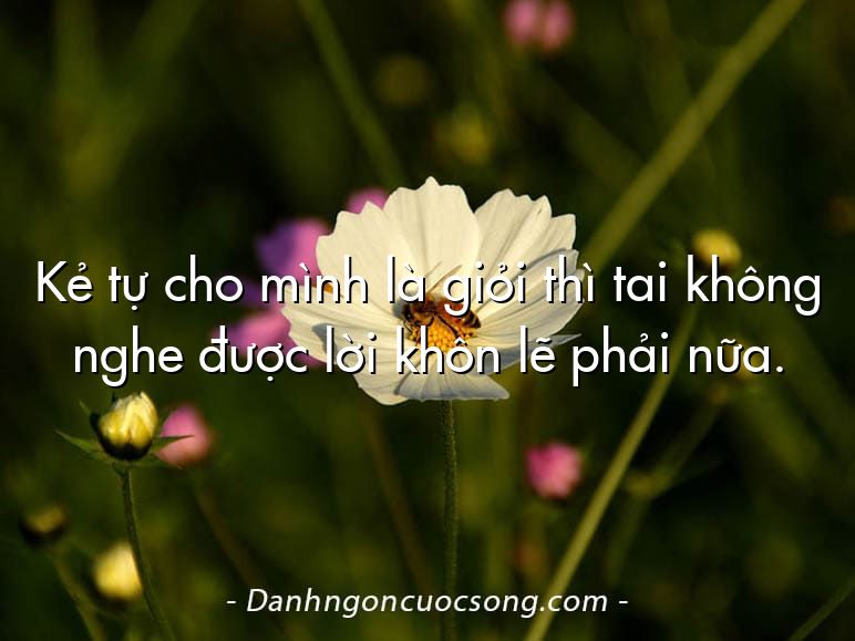 Kẻ tự cho mình là giỏi thì tai không nghe được lời khôn lẽ phải nữa.