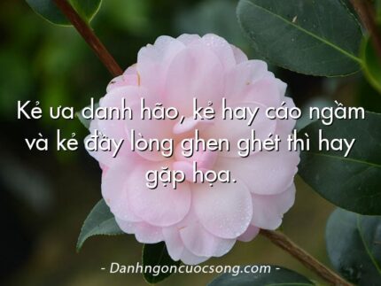 Kẻ ưa danh hão, kẻ hay cáo ngầm và kẻ đầy lòng ghen ghét thì hay gặp họa.