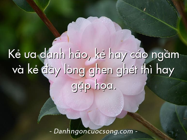 Kẻ ưa danh hão, kẻ hay cáo ngầm và kẻ đầy lòng ghen ghét thì hay gặp họa.