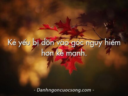 Kẻ yếu bị dồn vào góc nguy hiểm hơn kẻ mạnh.
