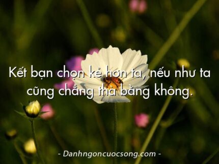Kết bạn chọn kẻ hơn ta, nếu như ta cũng chẳng thà bằng không.