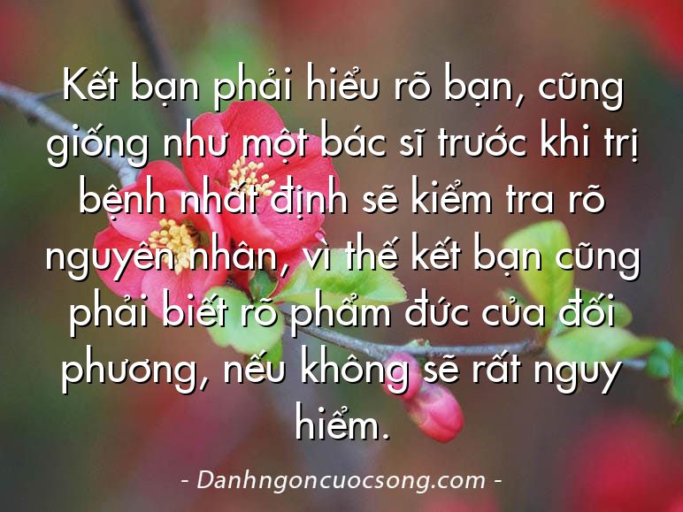Kết bạn phải hiểu rõ bạn, cũng giống như một bác sĩ trước khi trị bệnh nhất định sẽ kiểm tra rõ nguyên nhân, vì thế kết bạn cũng phải biết rõ phẩm đức của đối phương, nếu không sẽ rất nguy hiểm.