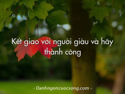 Kết giao với người giàu và hãy thành công