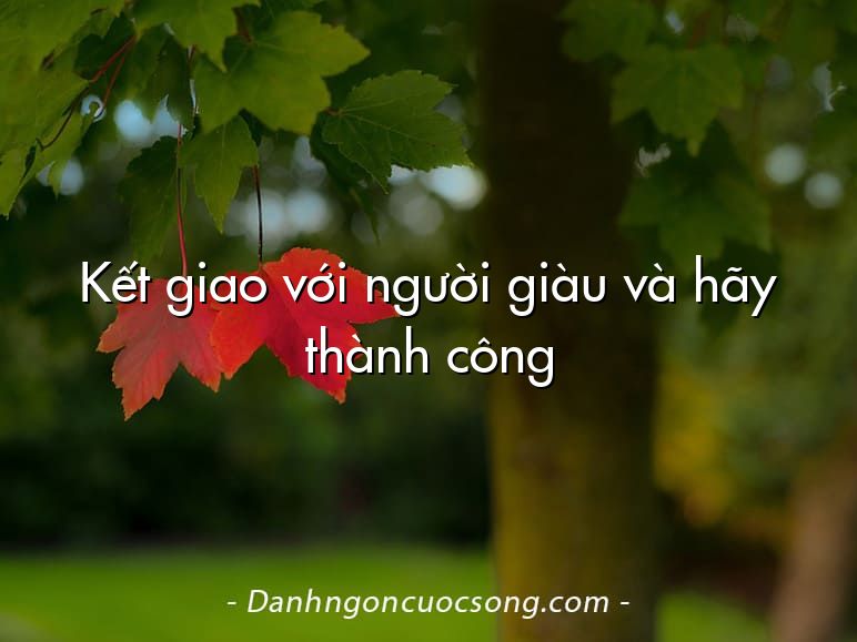 Kết giao với người giàu và hãy thành công