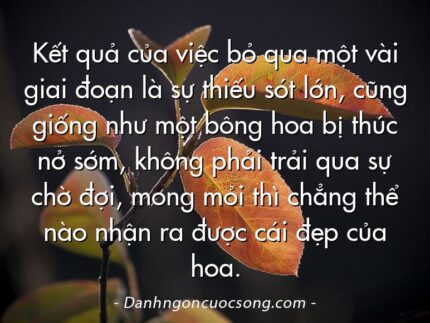 Kết quả của việc bỏ qua một vài giai đoạn là sự thiếu sót lớn, cũng giống như một bông hoa bị thúc nở sớm, không phải trải qua sự chờ đợi, mong mỏi thì chẳng thể nào nhận ra được cái đẹp của hoa.
