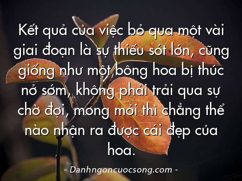 Kết quả của việc bỏ qua một vài giai đoạn là sự thiếu sót lớn, cũng giống như một bông hoa bị thúc nở sớm, không phải trải qua sự chờ đợi, mong mỏi thì chẳng thể nào nhận ra được cái đẹp của hoa.