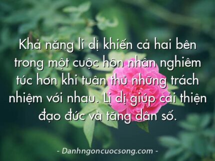 Khả năng li dị khiến cả hai bên trong một cuộc hôn nhân nghiêm túc hơn khi tuân thủ những trách nhiệm với nhau. Li dị giúp cải thiện đạo đức và tăng dân số.