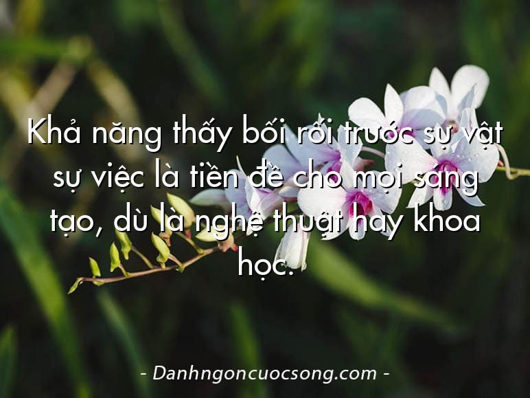 Khả năng thấy bối rối trước sự vật sự việc là tiền đề cho mọi sáng tạo, dù là nghệ thuật hay khoa học.