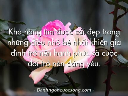 Khả năng tìm được cái đẹp trong những điều nhỏ bé nhất khiến gia đình trở nên hạnh phúc và cuộc đời trở nên đáng yêu.