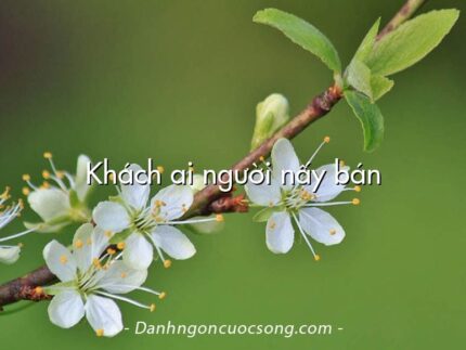 Khách ai người nấy bán