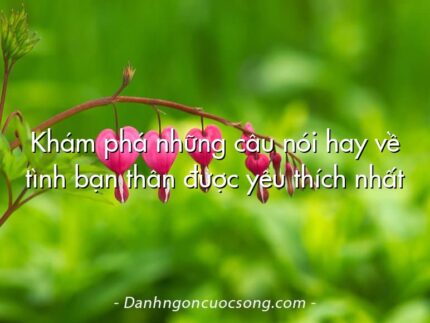Khám phá những câu nói hay về tình bạn thân được yêu thích nhất
