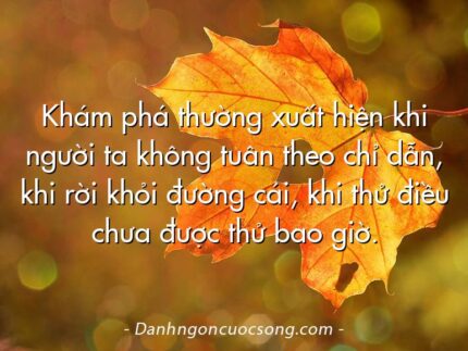 Khám phá thường xuất hiện khi người ta không tuân theo chỉ dẫn, khi rời khỏi đường cái, khi thử điều chưa được thử bao giờ.