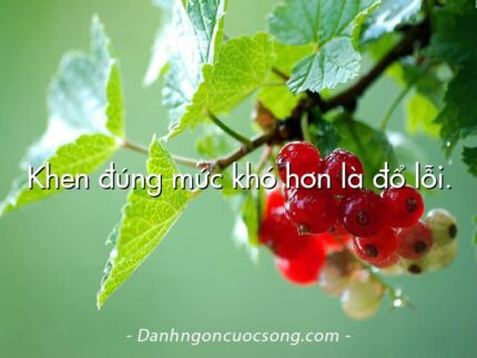 Khen đúng mức khó hơn là đổ lỗi.