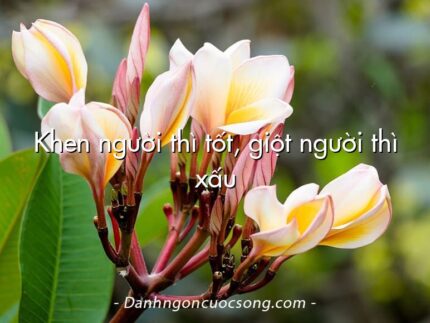 Khen người thì tốt, giột người thì xấu