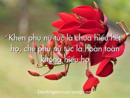 Khen phụ nữ tức là chưa hiểu hết họ, chê phụ nữ tức là hoàn toàn không hiểu họ