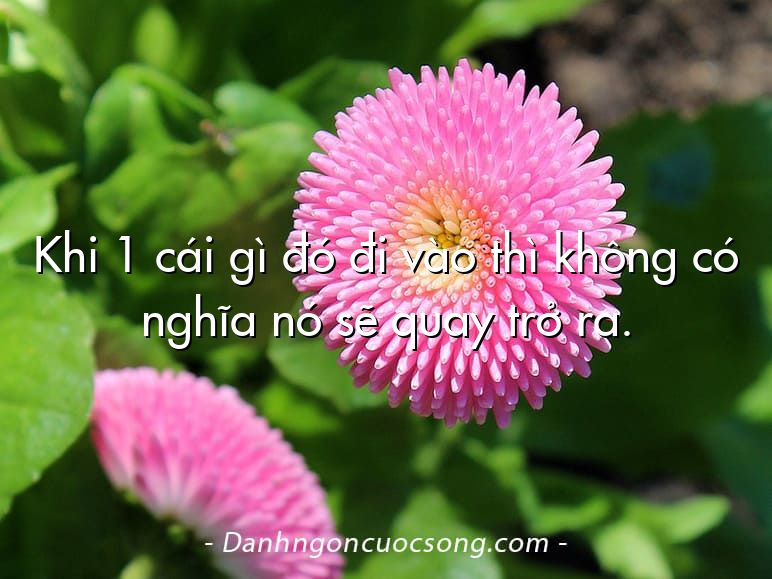 Khi 1 cái gì đó đi vào thì không có nghĩa nó sẽ quay trở ra.