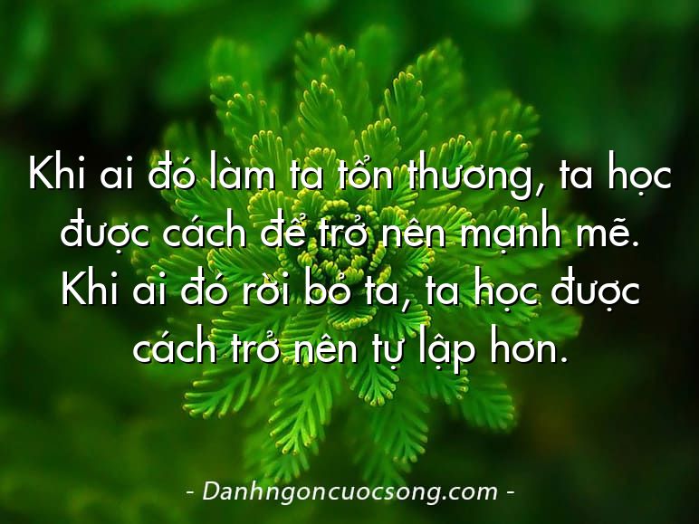Khi ai đó làm ta tổn thương, ta học được cách để trở nên mạnh mẽ. Khi ai đó rời bỏ ta, ta học được cách trở nên tự lập hơn.