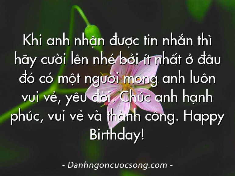 Khi anh nhận được tin nhắn thì hãy cười lên nhé bởi ít nhất ở đâu đó có một người mong anh luôn vui vẻ, yêu đời. Chúc anh hạnh phúc, vui vẻ và thành công. Happy Birthday!
