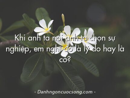Khi anh ta nói anh ta chọn sự nghiệp, em nghĩ đó là lý do hay là cớ?
