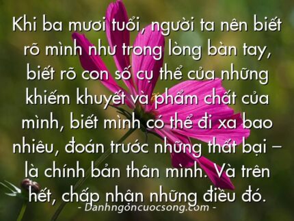 Khi ba mươi tuổi, người ta nên biết rõ mình như trong lòng bàn tay, biết rõ con số cụ thể của những khiếm khuyết và phẩm chất của mình, biết mình có thể đi xa bao nhiêu, đoán trước những thất bại – là chính bản thân mình. Và trên hết, chấp nhận những điều đó.
