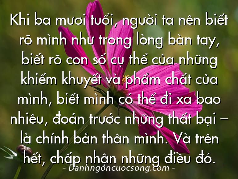 Khi ba mươi tuổi, người ta nên biết rõ mình như trong lòng bàn tay, biết rõ con số cụ thể của những khiếm khuyết và phẩm chất của mình, biết mình có thể đi xa bao nhiêu, đoán trước những thất bại – là chính bản thân mình. Và trên hết, chấp nhận những điều đó.