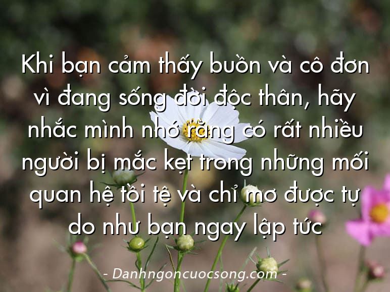 Khi bạn cảm thấy buồn và cô đơn vì đang sống đời độc thân, hãy nhắc mình nhớ rằng có rất nhiều người bị mắc kẹt trong những mối quan hệ tồi tệ và chỉ mơ được tự do như bạn ngay lập tức