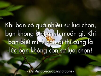 Khi bạn có quá nhiều sự lựa chọn, bạn không biết mình muốn gì. Khi bạn biết mình cần gì thì cũng là lúc bạn không còn sự lựa chọn!
