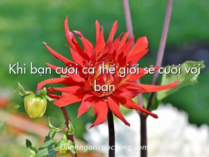 Khi bạn cười cả thế giới sẽ cười với bạn