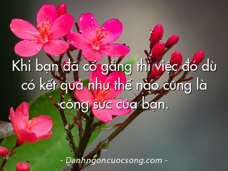 Khi bạn đã cố gắng thì việc đó dù có kết quả như thế nào cũng là công sức của bạn.