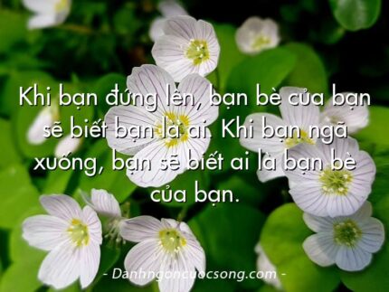 Khi bạn đứng lên, bạn bè của bạn sẽ biết bạn là ai. Khi bạn ngã xuống, bạn sẽ biết ai là bạn bè của bạn.