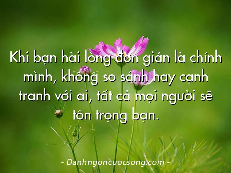 Khi bạn hài lòng đơn giản là chính mình, không so sánh hay cạnh tranh với ai, tất cả mọi người sẽ tôn trọng bạn.
