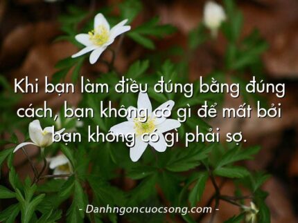 Khi bạn làm điều đúng bằng đúng cách, bạn không có gì để mất bởi bạn không có gì phải sợ.