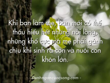 Khi bạn làm mẹ, bạn mới có thể thấu hiểu hết những nỗi lòng, những khổ cực mà mẹ phải gánh chịu khi sinh ra con và nuôi con khôn lớn.