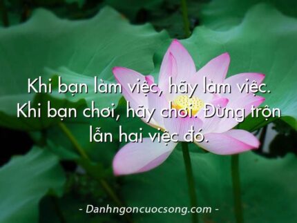 Khi bạn làm việc, hãy làm việc. Khi bạn chơi, hãy chơi. Đừng trộn lẫn hai việc đó.