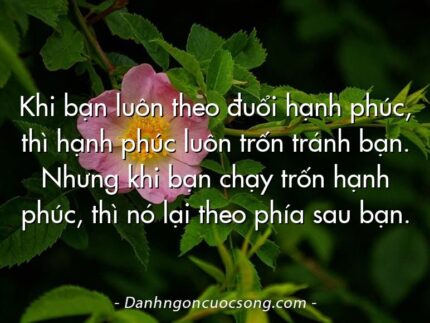 Khi bạn luôn theo đuổi hạnh phúc, thì hạnh phúc luôn trốn tránh bạn. Nhưng khi bạn chạy trốn hạnh phúc, thì nó lại theo phía sau bạn.