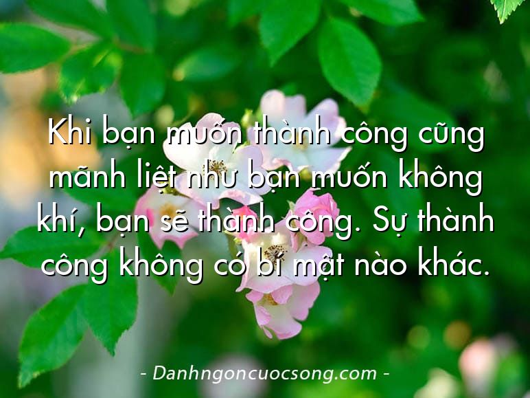 Khi bạn muốn thành công cũng mãnh liệt như bạn muốn không khí, bạn sẽ thành công. Sự thành công không có bí mật nào khác.