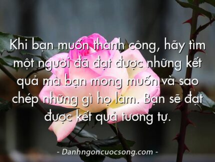 Khi bạn muốn thành công, hãy tìm một người đã đạt được những kết quả mà bạn mong muốn và sao chép những gì họ làm. Bạn sẽ đạt được kết quả tương tự.